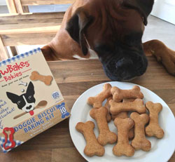 dog biscuit baking kit