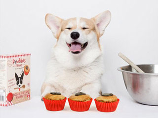 dog treat baking kits
