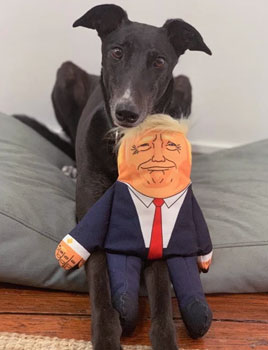 Donald Trump dog toy by Pet Hates Toys