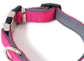 Doodlebone bold padded dog collars