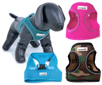 Doodlebone Snappy step-in dog harness