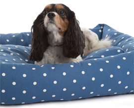 Luxury dotty bolster dog bed