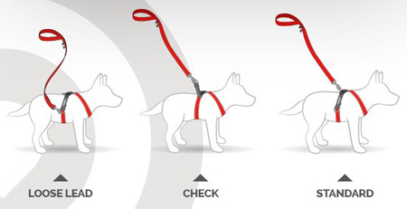 EzyDog Crosscheck No Pull Training Dog Harness