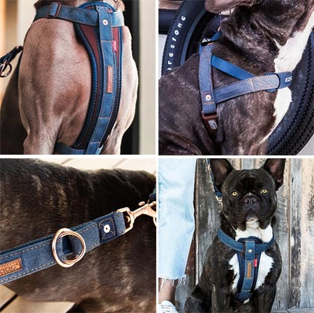 EzyDog denim dog collars, leads, harness