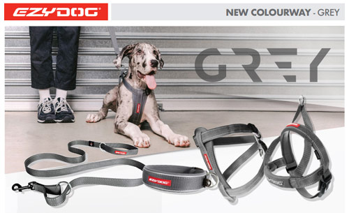 EzyDog Grey Dog Collars, Harness, leads