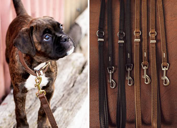 EzyDog Oxford leather dog collars and leads