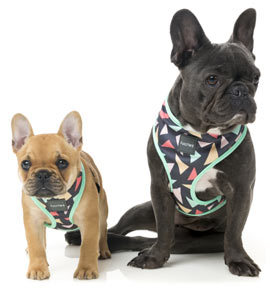 Rad design FuzzYard dog harness