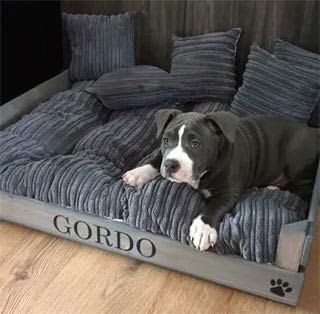 grey stained wooden dog bed in grey cord