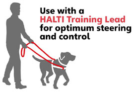 Halti dog training stop pull harness and lead