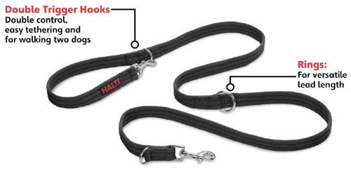 Halti Training Lead features