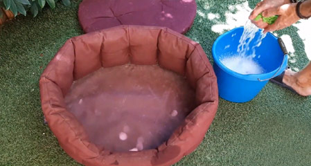 How to clean and wash a waterproof dog bed