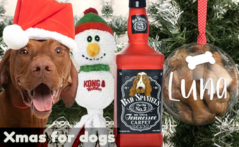 Christmas presents for dogs