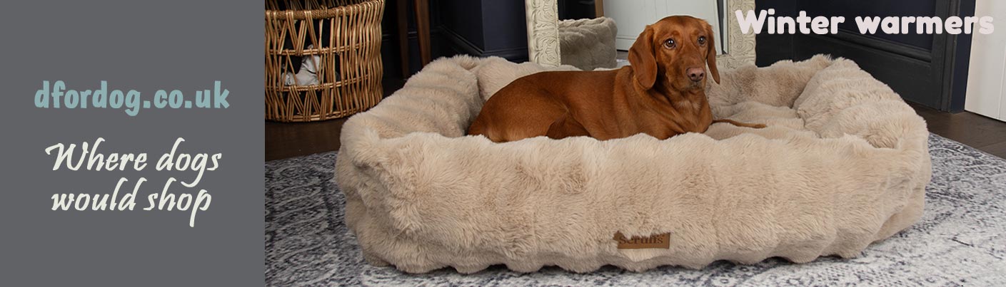 Tuffy dog bed sales