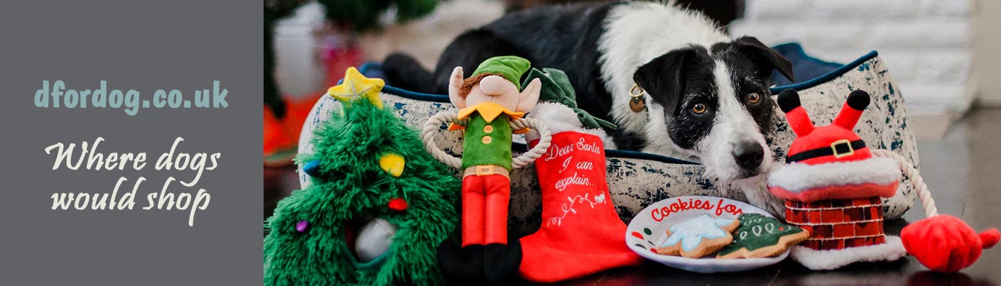 Christmas gifts for dogs