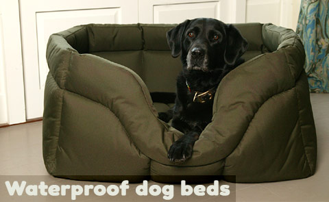 waterproof dog beds