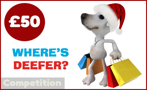 Dog competition