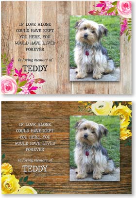 photo dog memorial plaques