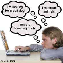 buying a dog online