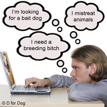buying a dog online