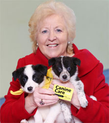 Canine Care Card scheme