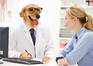 dog doctor