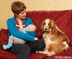 A New Baby and the Family Dog