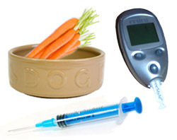 Dog Diabetes Causes & Symptoms