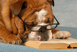 The Best Dog Books of all Time