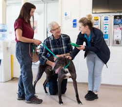 Paul O'Grady says 'Give Greyhounds a Chance'