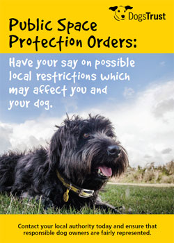 New Dog Walking Legislation - have your say