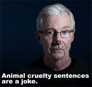 Animal cruelty sentences are a joke