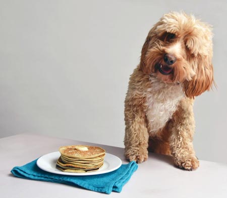 Battersea Launches New Pet Baking Series
