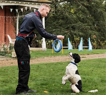 Battersea Virtual Puppy Training Courses