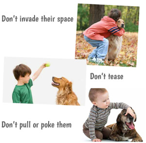 Be Dog Smart