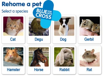 Blue Cross rehome a pet