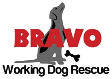 Failed and retired working dogs need your help