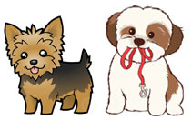 Silky coated dogs - Yorkie, Shih Tzu