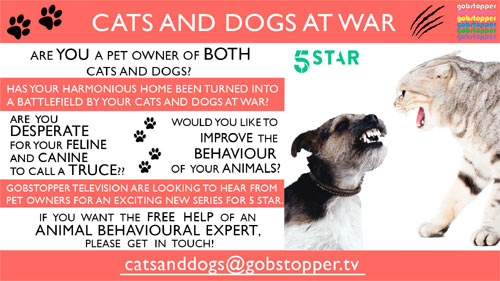 TV Show 'Cats & Dogs At War'