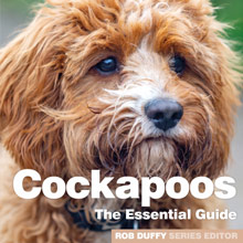 Cockapoo essential guide