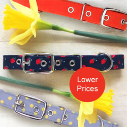 price reductions on designer dog collars