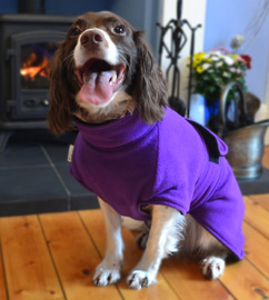 Dog drying coat for after a bath