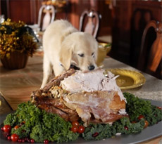 Christmas food your dog can and can't eat