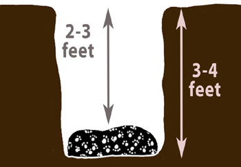 proper depth of a dog grave for pet home burial