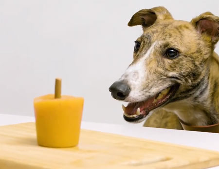 Summer Dog Ice Lolly Recipe