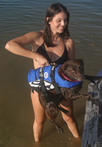 Dog Life Jacket easy grab handle