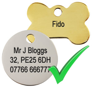 should you put name on dog tag