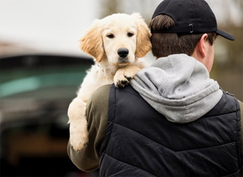 Pet Theft To Become A Specific Criminal Offence