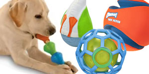 dog toys galore