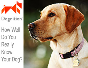 Dognition - How Well Do You Really Know Your Dog?