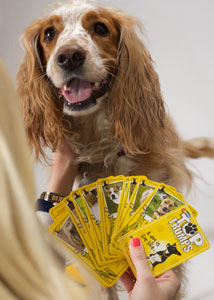 Dogs trust top trumps